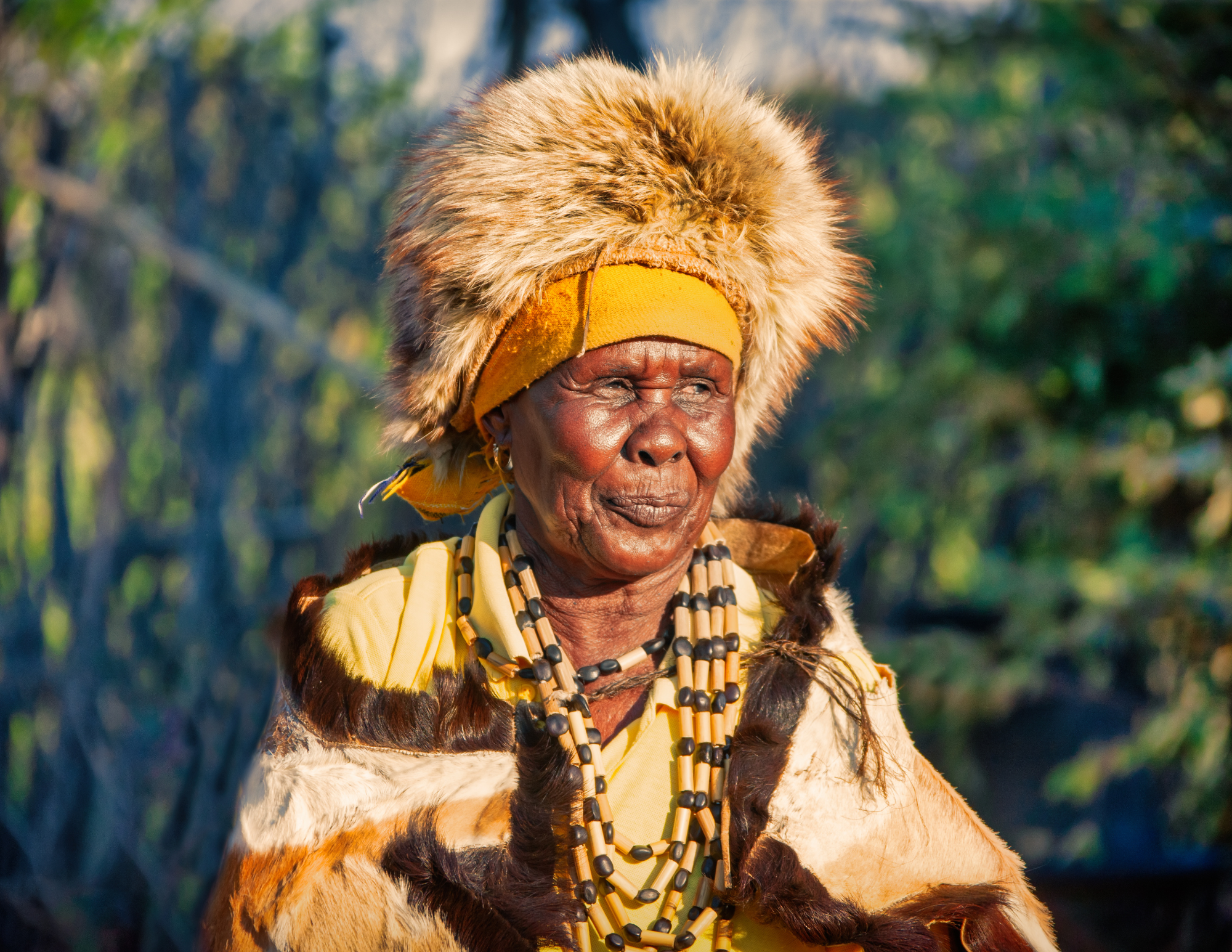 Honoring Tradition: Embracing the Wisdom of Traditional Medicine ...